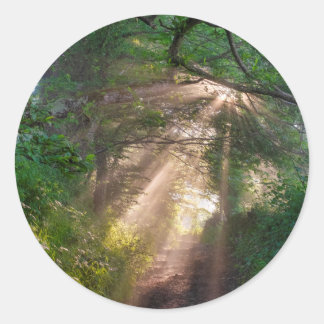 Sticker Rond sentier forestier