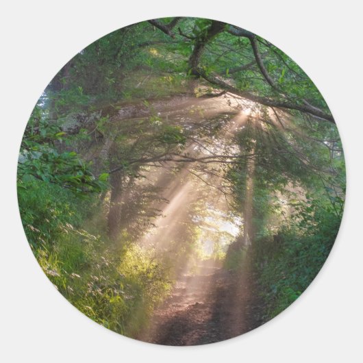 Sticker Rond sentier forestier (Devant)