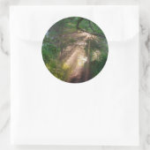 Sticker Rond sentier forestier (Sac)