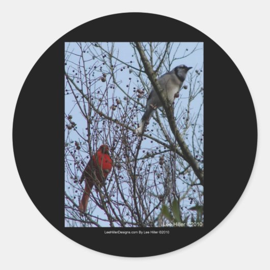 Sticker Rond Sentinels Blue Jay et Cardinal par Lee Hiller (Devant)