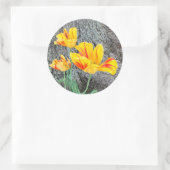 Sticker Rond Séquence de trois tulipes jaunes / (Sac)