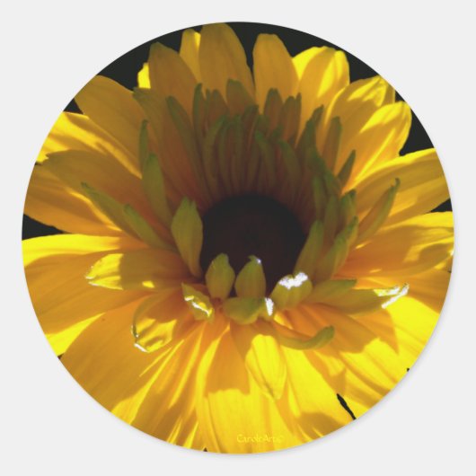 Sticker Rond Serene Sunflower (Devant)