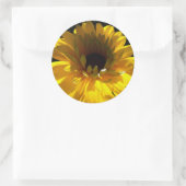 Sticker Rond Serene Sunflower (Sac)