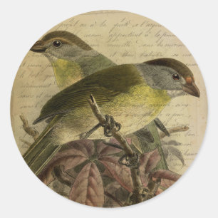 Sticker Rond Série d'oiseaux éphémères Six