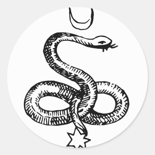 Sticker Rond Serpent (Devant)