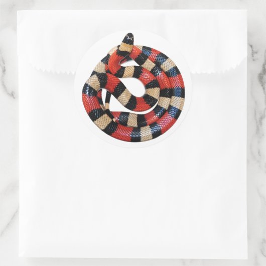 Sticker Rond Serpent à lait (Sac)