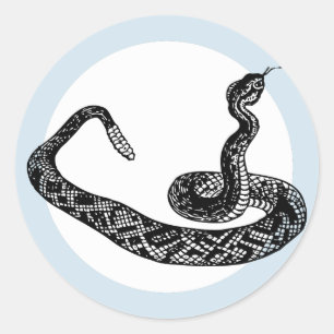 Sticker Rond serpent de brume