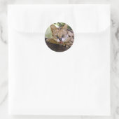 Sticker Rond serval 013 (Sac)