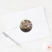 Sticker Rond serval 013 (Enveloppe)