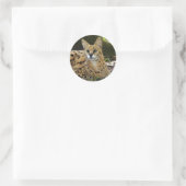 Sticker Rond serval 015 (Sac)