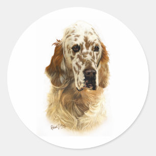 Sticker Rond Setter anglais