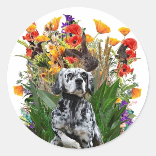 Sticker Rond Setter anglais (Devant)
