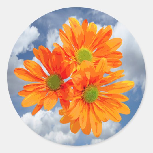 Sticker Rond Seulement 3 Gerbera Daisy Blossoms + votre texte e (Devant)