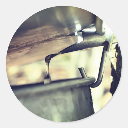 Sticker Rond Sève sirop d'érable qui coule la nature (Devant)