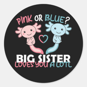 Sticker Rond sexe révéler rose ou bleu Big Sister vous aime Cl