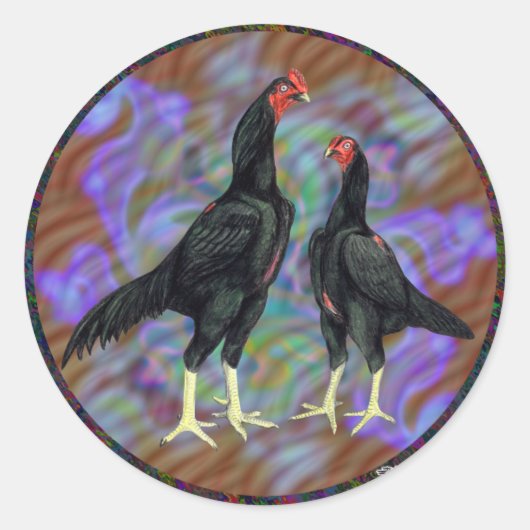 Sticker Rond Shamo : paire noire (Devant)