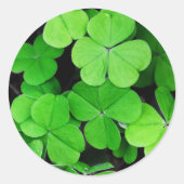 Sticker Rond Shamrock (Devant)