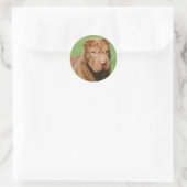Sticker Rond Shar Pei (Sac)