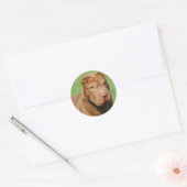 Sticker Rond Shar Pei (Enveloppe)
