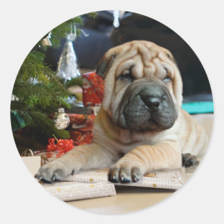 Sticker Rond Shar Pei Noël