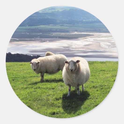 STICKER ROND SHEEP DE MONTAGNE BIEN-ÊTRE (Devant)