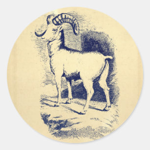 Sticker Rond SHEEP vintage GRANDE CORNE