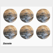 STICKER ROND SHELL GÉANT TORTOISE (Feuille)
