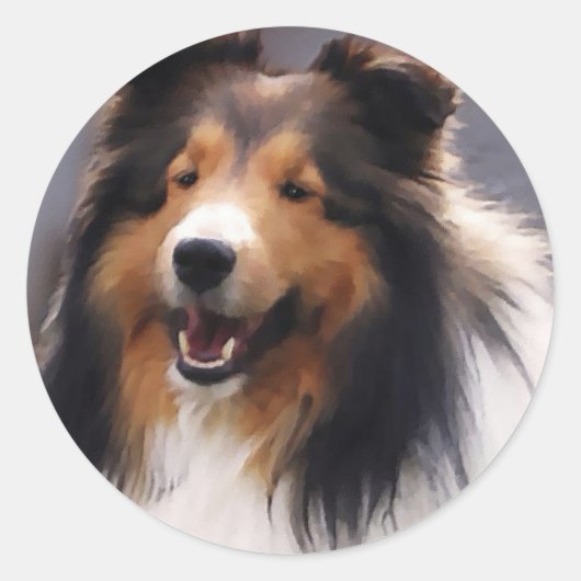Sticker Rond Shetland Sheepdog Sheltie Cadeaux (Devant)