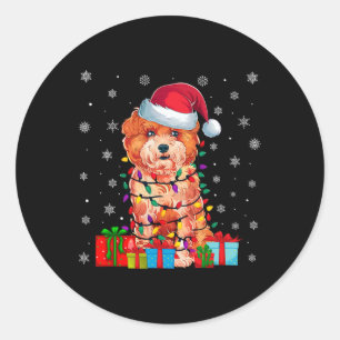 Sticker Rond Shichon Chien laid Noël illumine Santa Hat Shichon