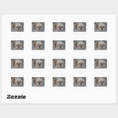 Sticker Rond Shih Tzu (Feuille)