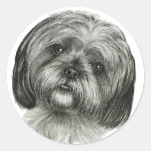 Sticker Rond Shih Tzu (Devant)