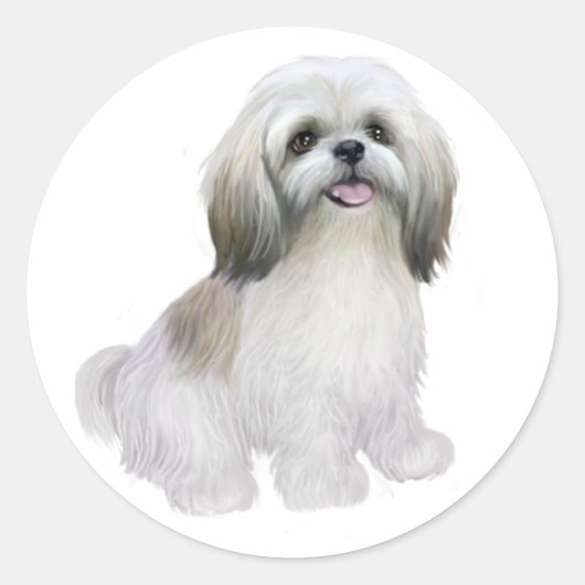 Sticker Rond Shih Tzu - Blanc avec gris-tan (Devant)