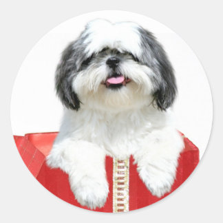 Sticker Rond Shih Tzu cadeau de Noël