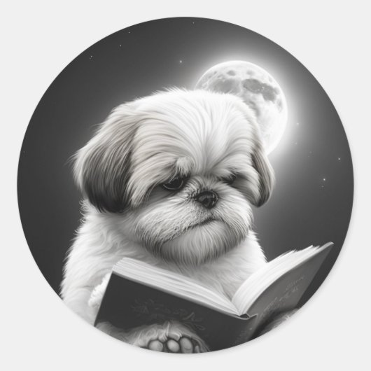 Sticker Rond Shih Tzu Livre lecture (Devant)