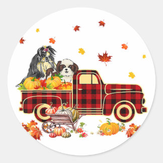 Sticker Rond Shih Tzu Pumpkin Truck | Fall Leaf Thanksgiving
