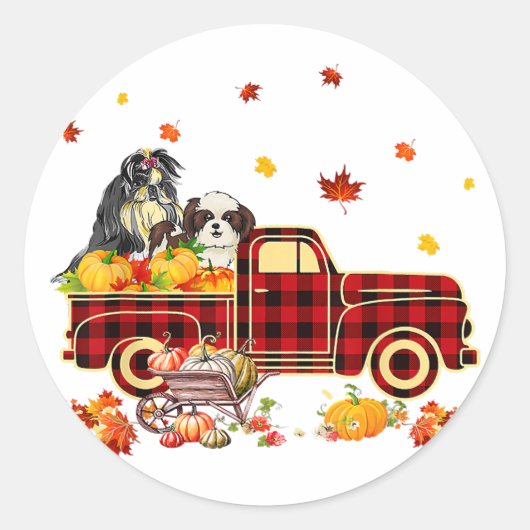 Sticker Rond Shih Tzu Pumpkin Truck | Fall Leaf Thanksgiving (Devant)