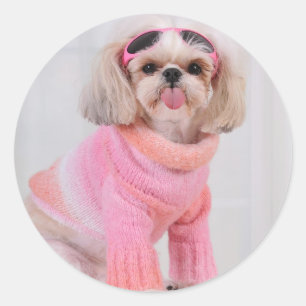 Sticker Rond Shih Tzu Puppy - Le Razz