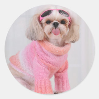 Sticker Rond Shih Tzu Puppy - Le Razz