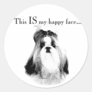 Sticker Rond Shih Tzu, un visage heureux