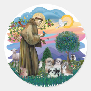Sticker Rond Shih Tzus (quatre)