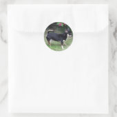Sticker Rond Short Haired Chihuahua Standing (Sac)