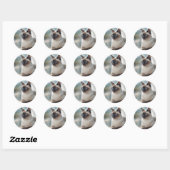 Sticker Rond Siamese Chat 749 Art numérique (Feuille)