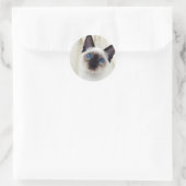Sticker Rond Siamese Kitten (Sac)