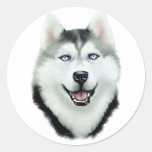 Sticker Rond Sibérien Husky