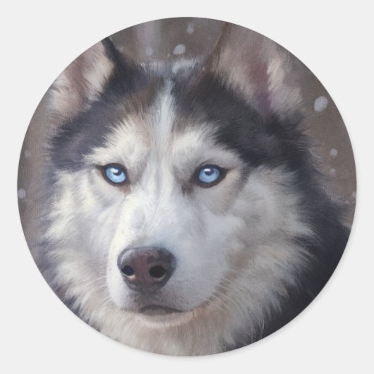 Sticker Rond Sibérien Husky (Devant)
