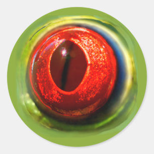 Sticker Rond Silencieux Réaliste Quirky Red Eyed Frog Eyeball