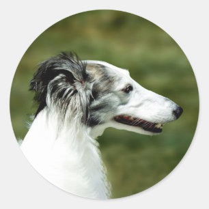 Sticker Rond Silken Windhound