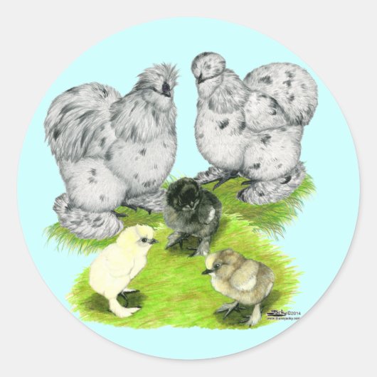 Sticker Rond Silkie Bantam Splash Family (Devant)