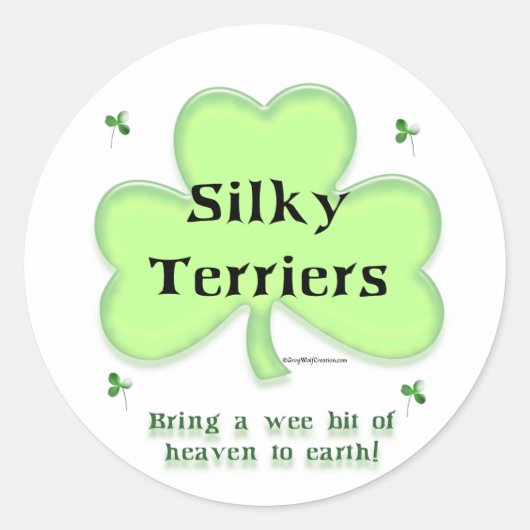 Sticker Rond Silky Terrier Heaven, Saint Patrick's day Terrier (Devant)