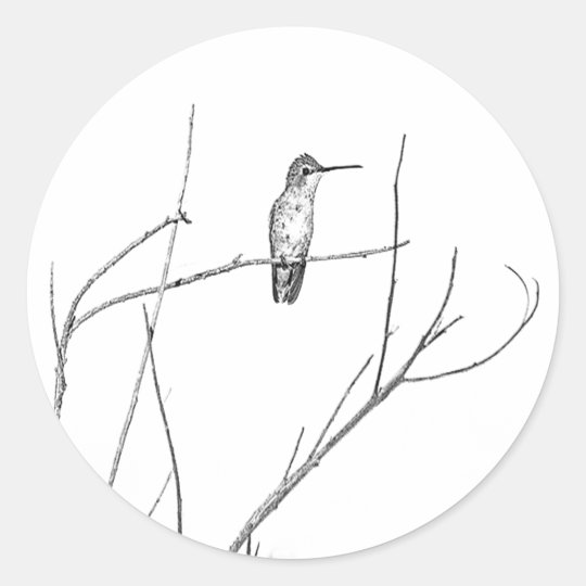 Sticker Rond Simplement un colibri sur un bâton